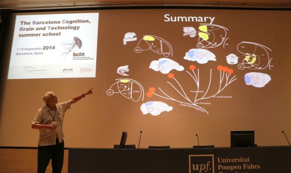 Jon Kaas shows cortical homologies in different mammalian brains